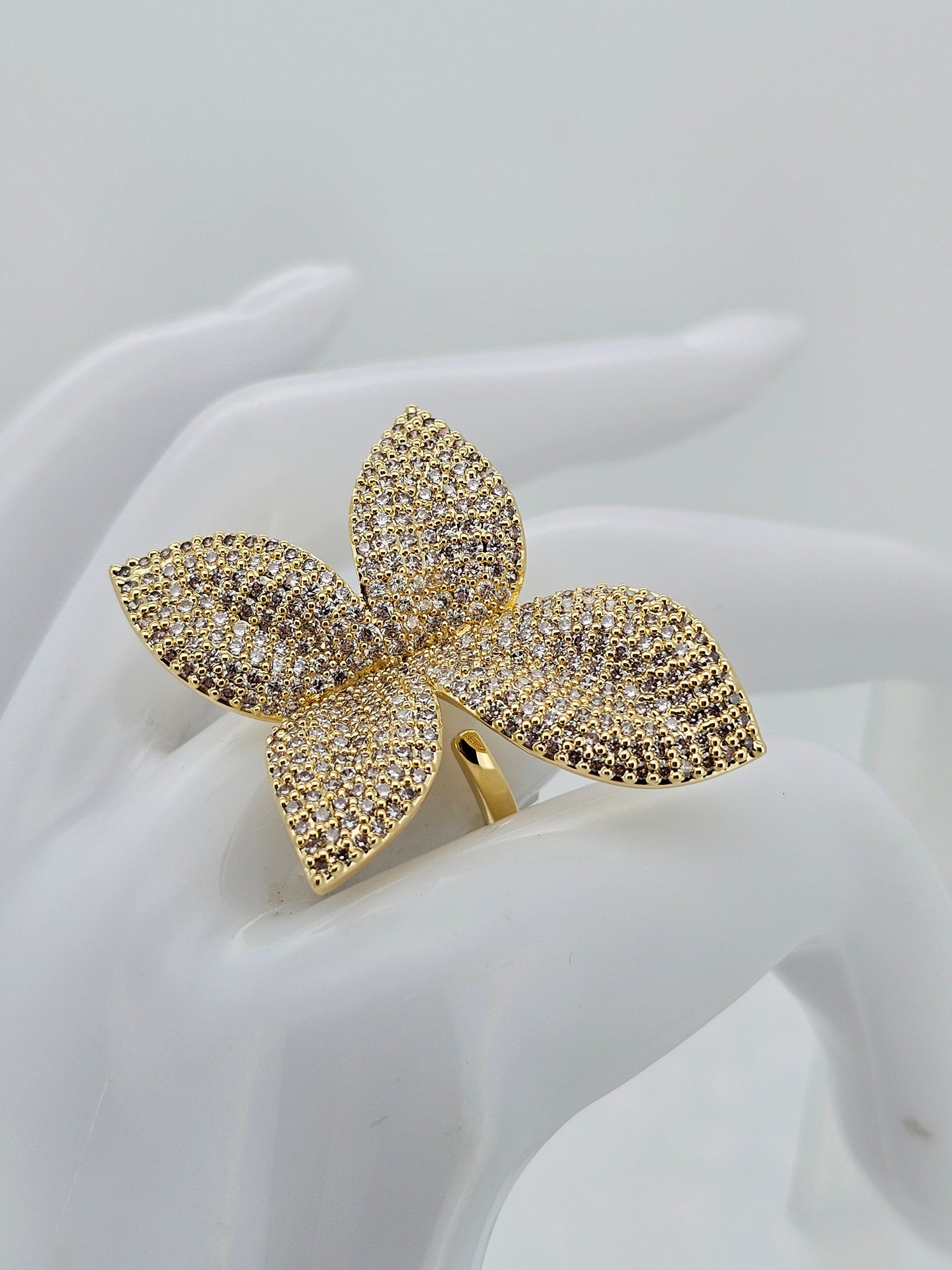 Anillo
