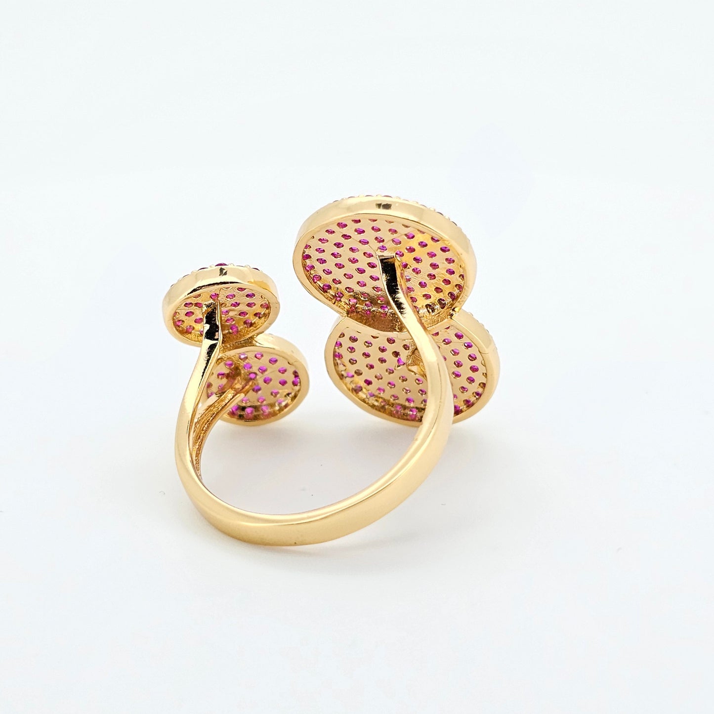 ANILLO CT