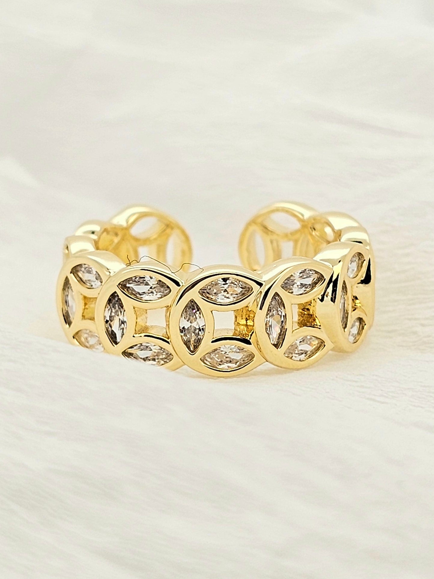 ANILLO CD