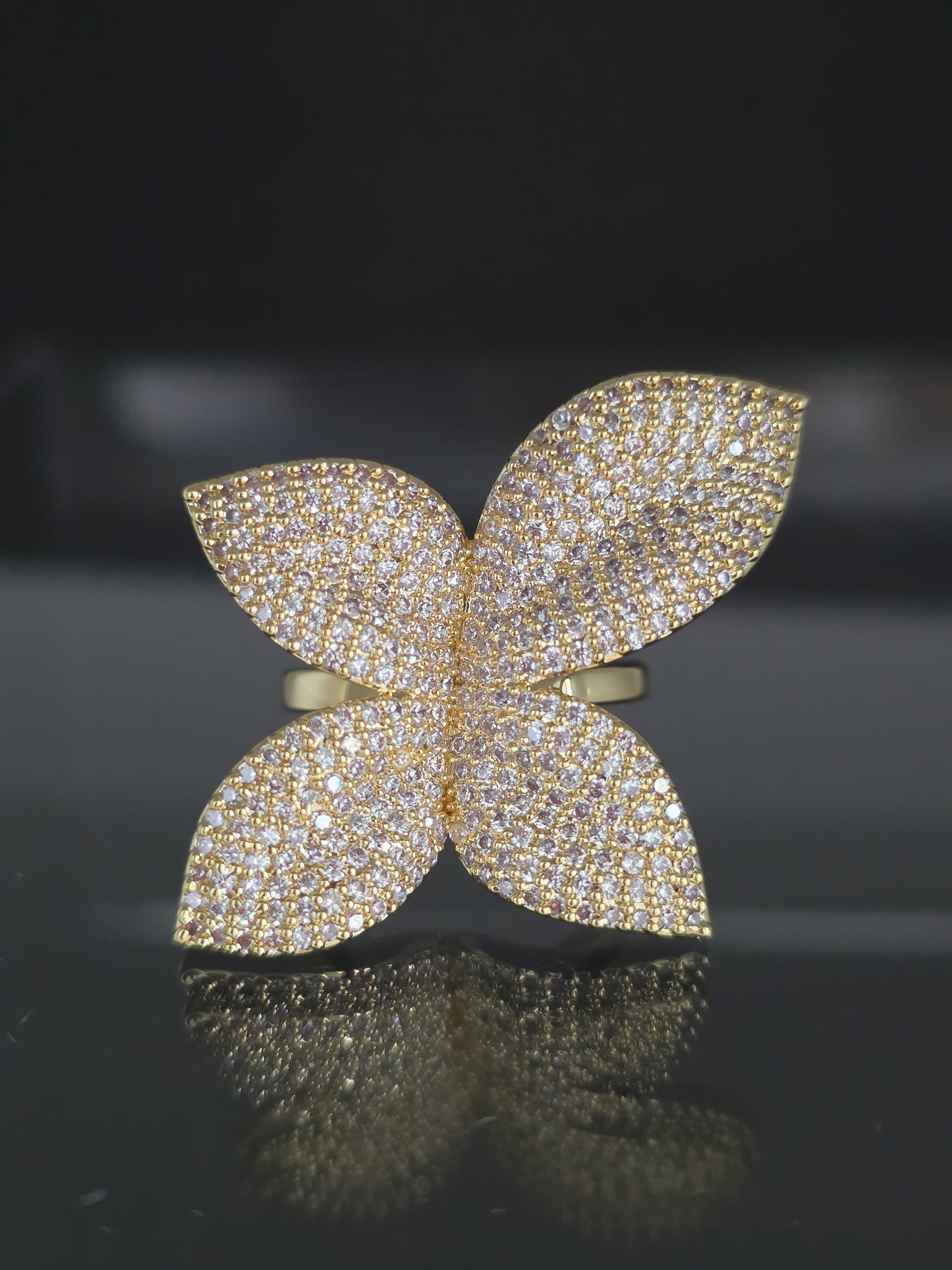 Anillo