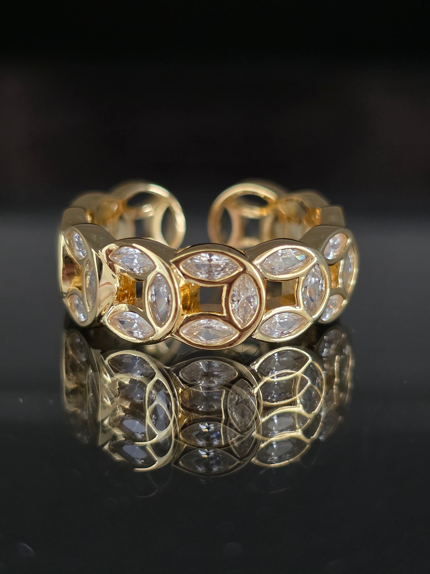ANILLO CD