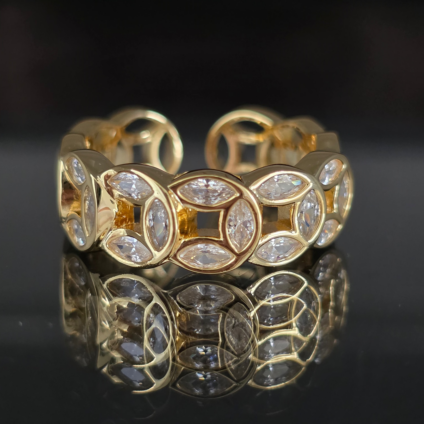 ANILLO CD