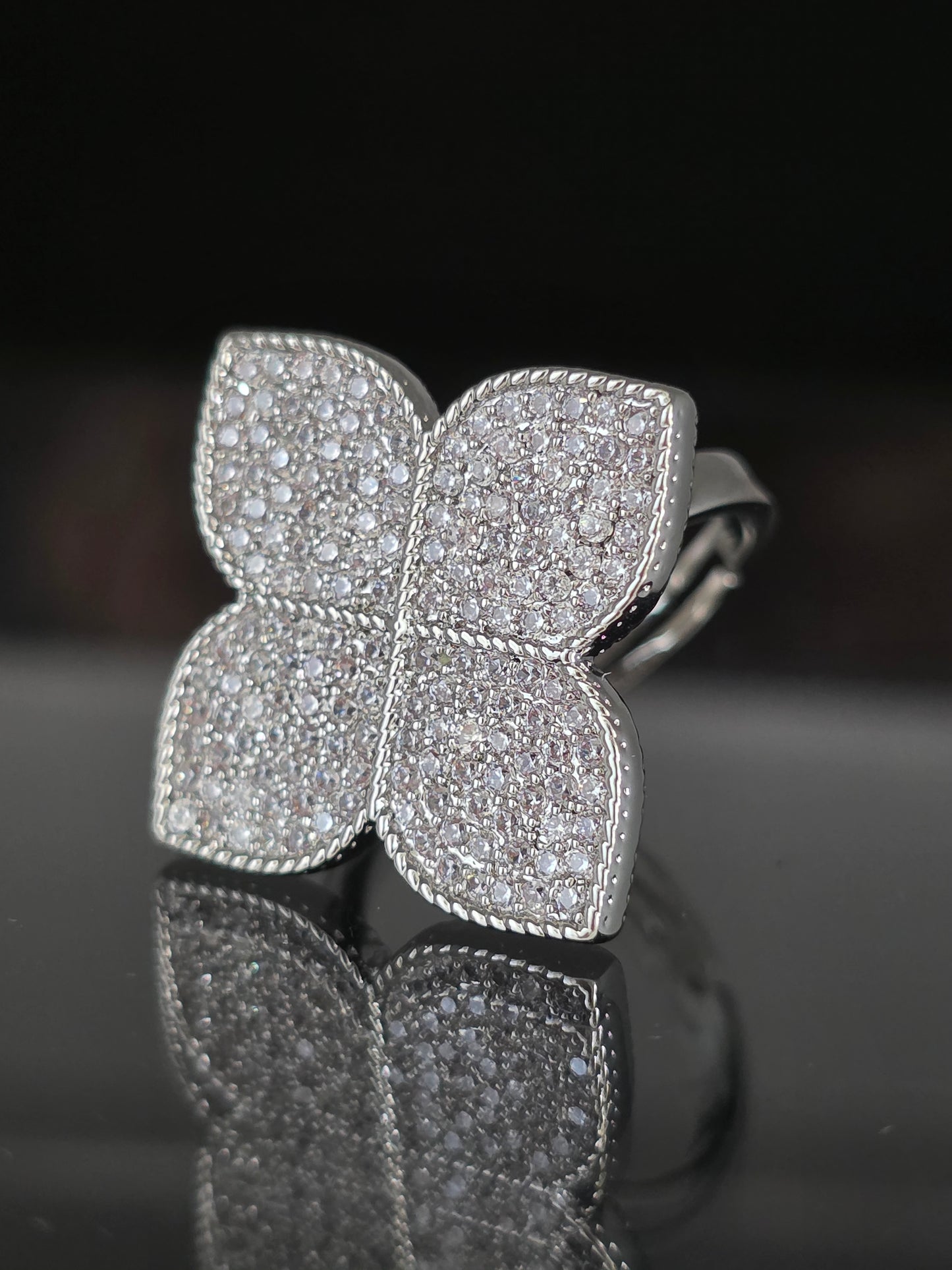 Anillo Coin