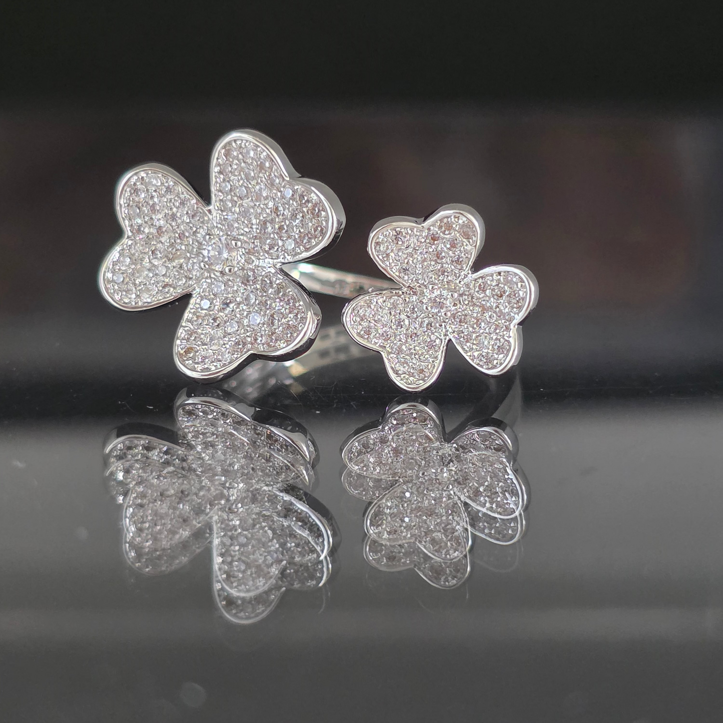ANILLO ROUSE
