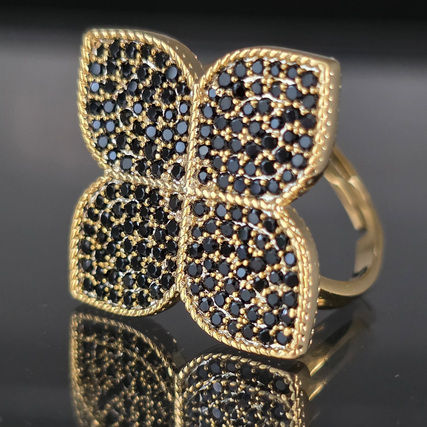 Anillo Coin