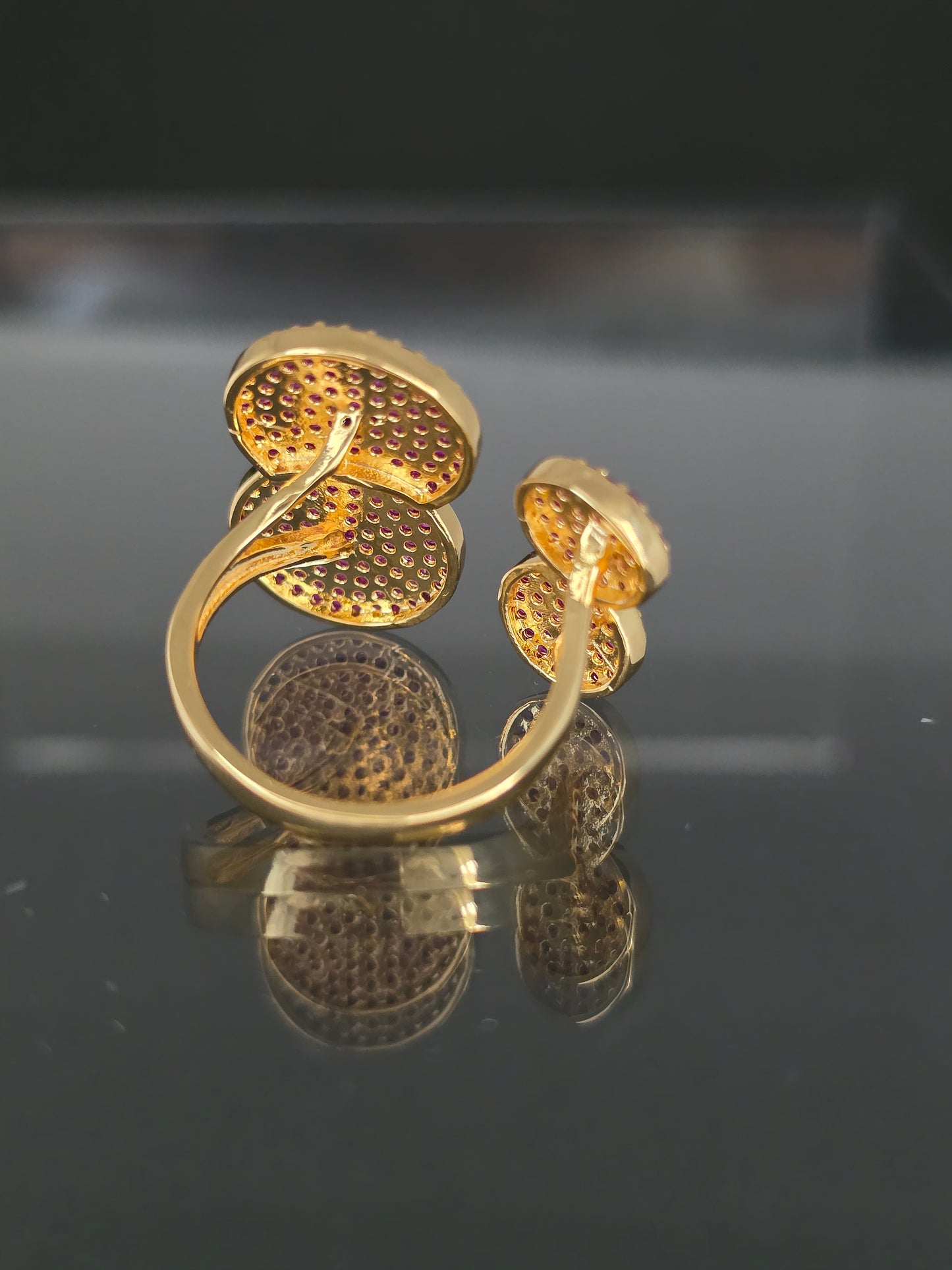 ANILLO CT