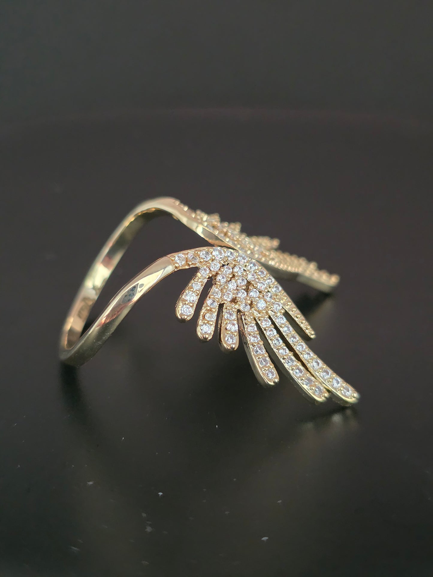 Anillo adaptable alas