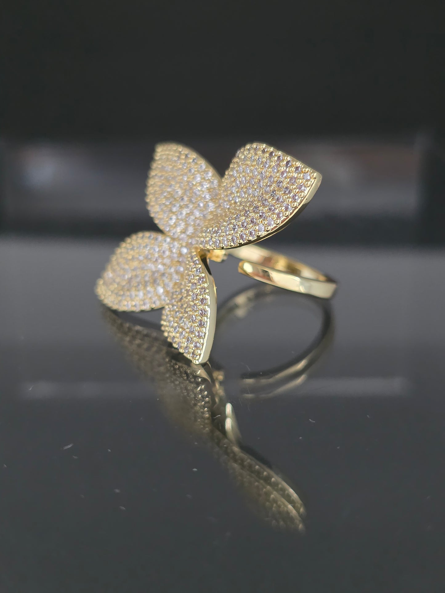 Anillo