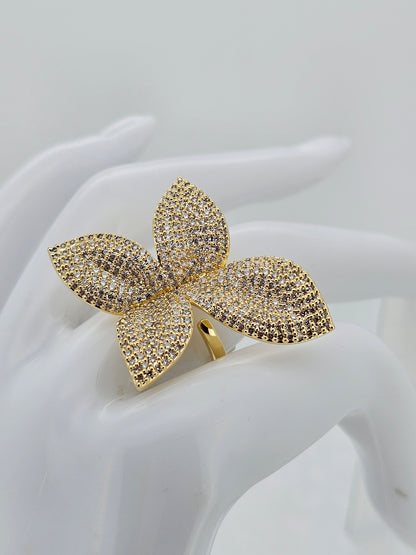 Anillo