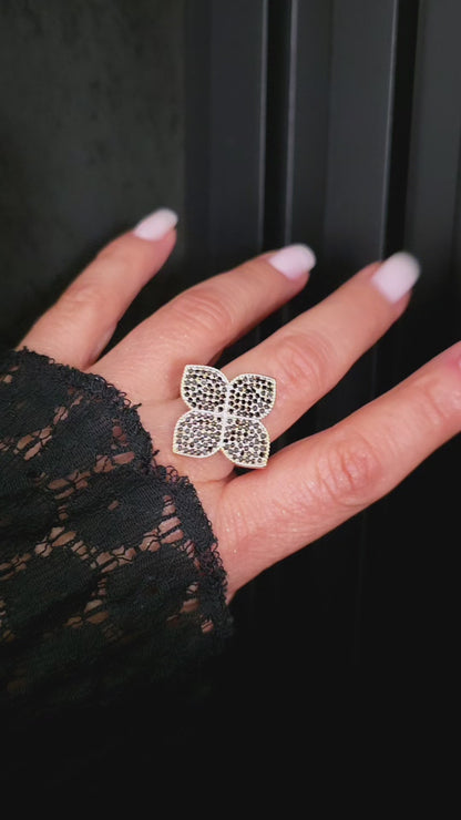 Anillo Coin