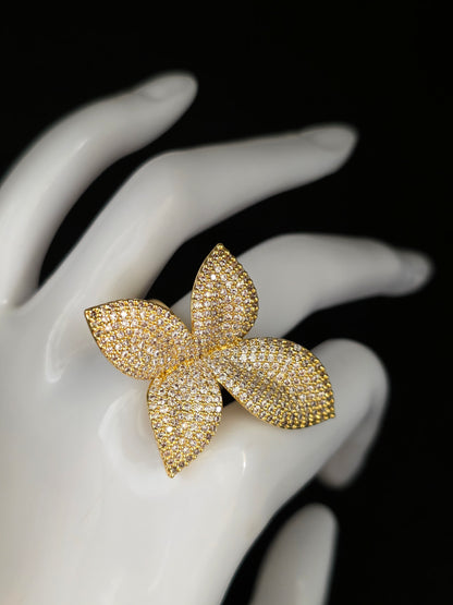 Anillo