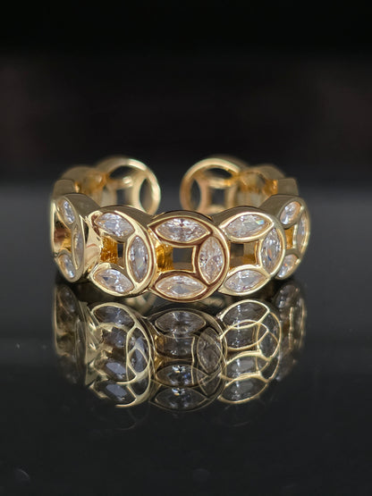 ANILLO CD
