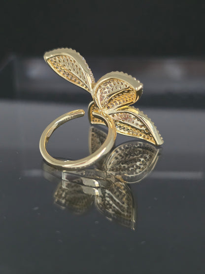 Anillo