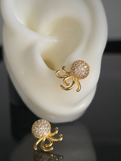 Aros javiera
