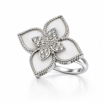 Anillo