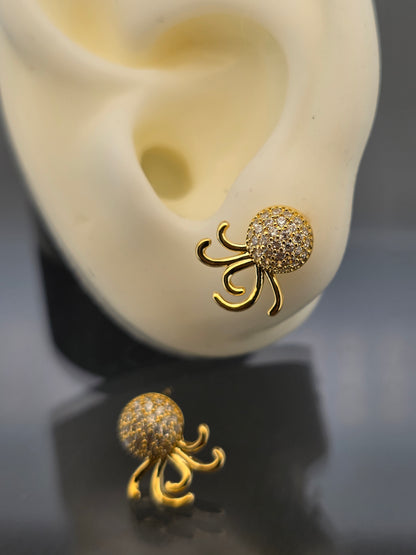 Aros javiera