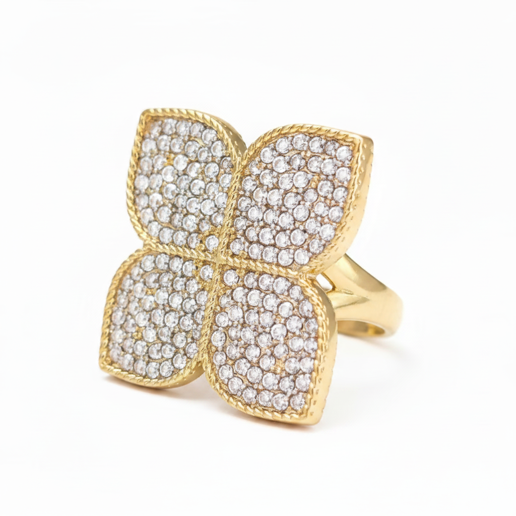 Anillo Coin