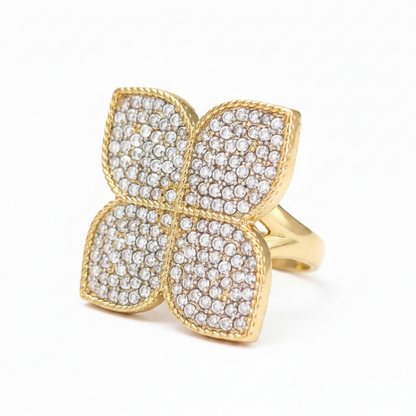 Anillo Coin