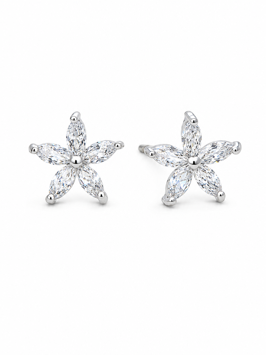 Aros  florida plata 925