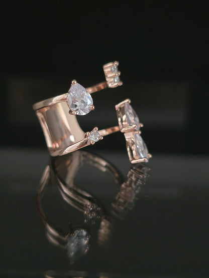 Anillo Vir