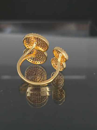 ANILLO CT