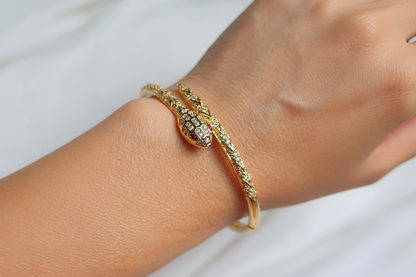 Pulsera Aura Serpiente Divine