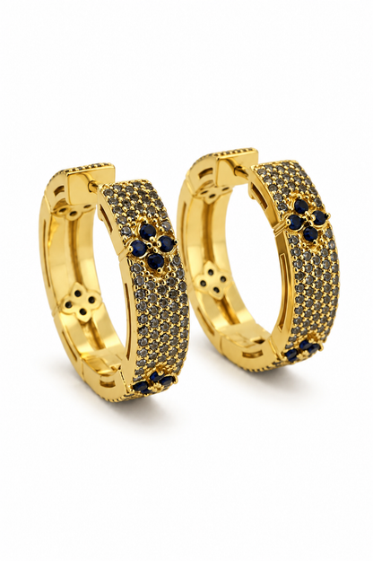 Argollas cristal pavés Robert