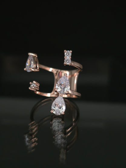 Anillo Vir